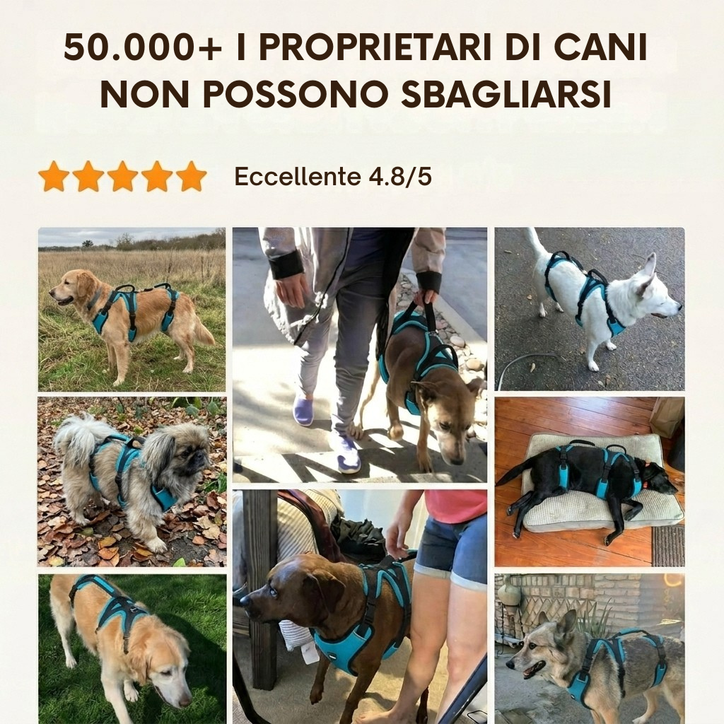 Pettorina Cosyrae per l’artrosi