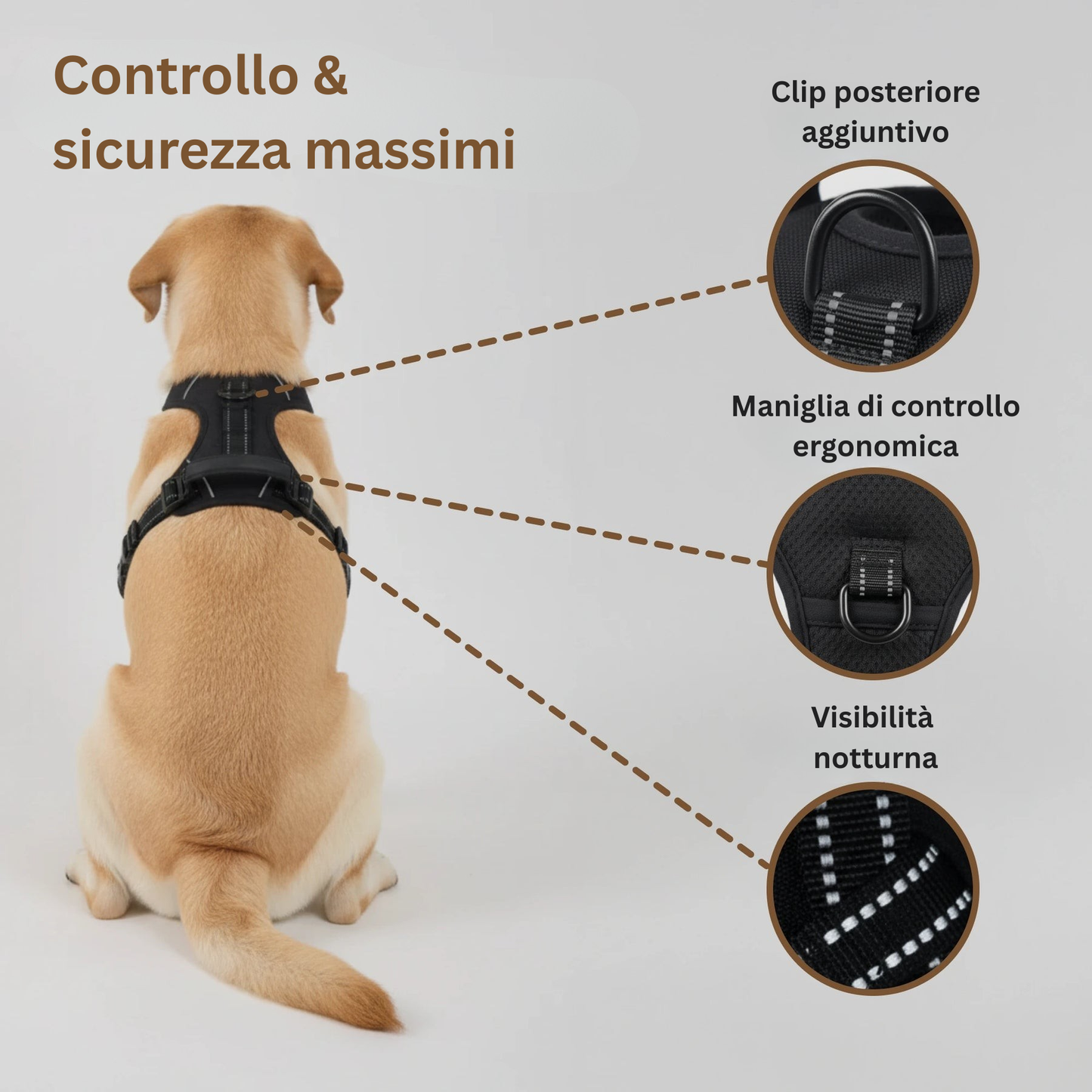 Cosyrae™ Pettorina anti-tiro