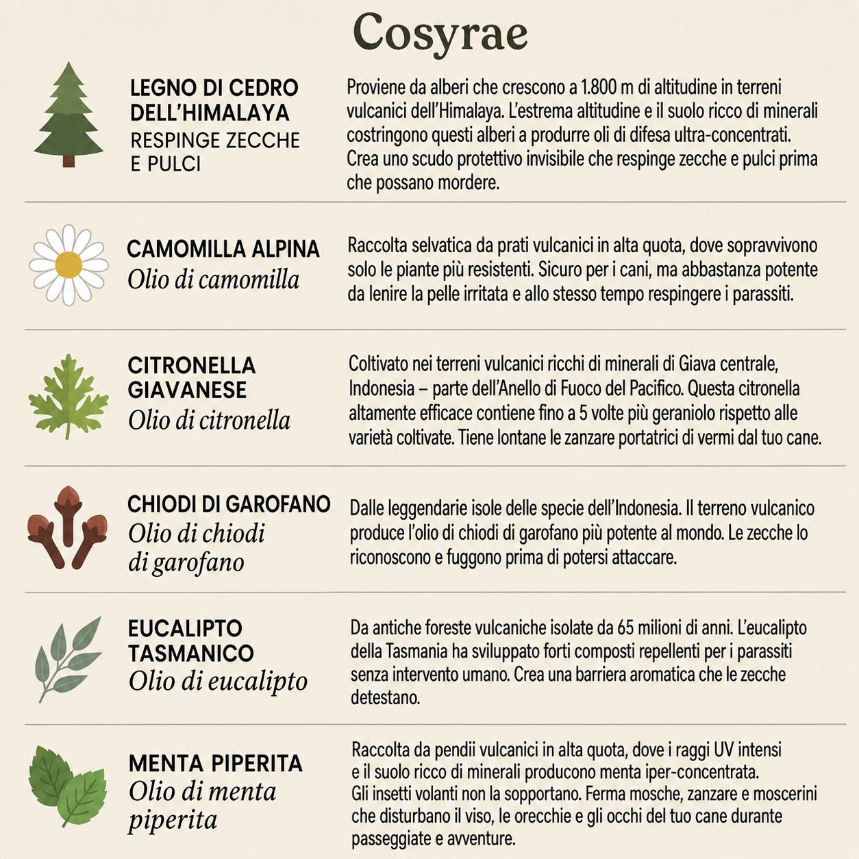Cosyrae Ciondolo di protezione naturale: 12 mesi di protezione contro pulci, zecche e parassiti.