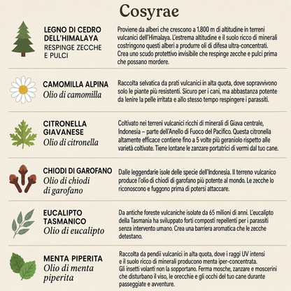 Cosyrae Ciondolo di protezione naturale: 12 mesi di protezione contro pulci, zecche e parassiti.