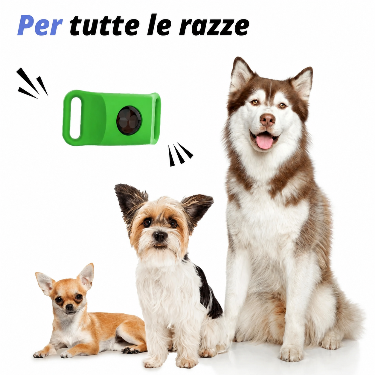 Cosyrae Ciondolo di protezione naturale: 12 mesi di protezione contro pulci, zecche e parassiti.
