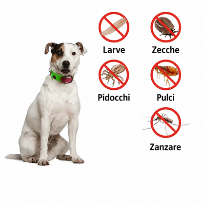 Cosyrae Ciondolo di protezione naturale: 12 mesi di protezione contro pulci, zecche e parassiti.