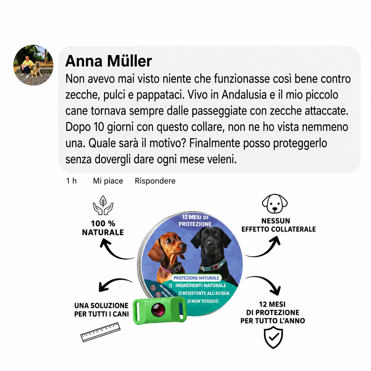 Cosyrae Ciondolo di protezione naturale: 12 mesi di protezione contro pulci, zecche e parassiti.