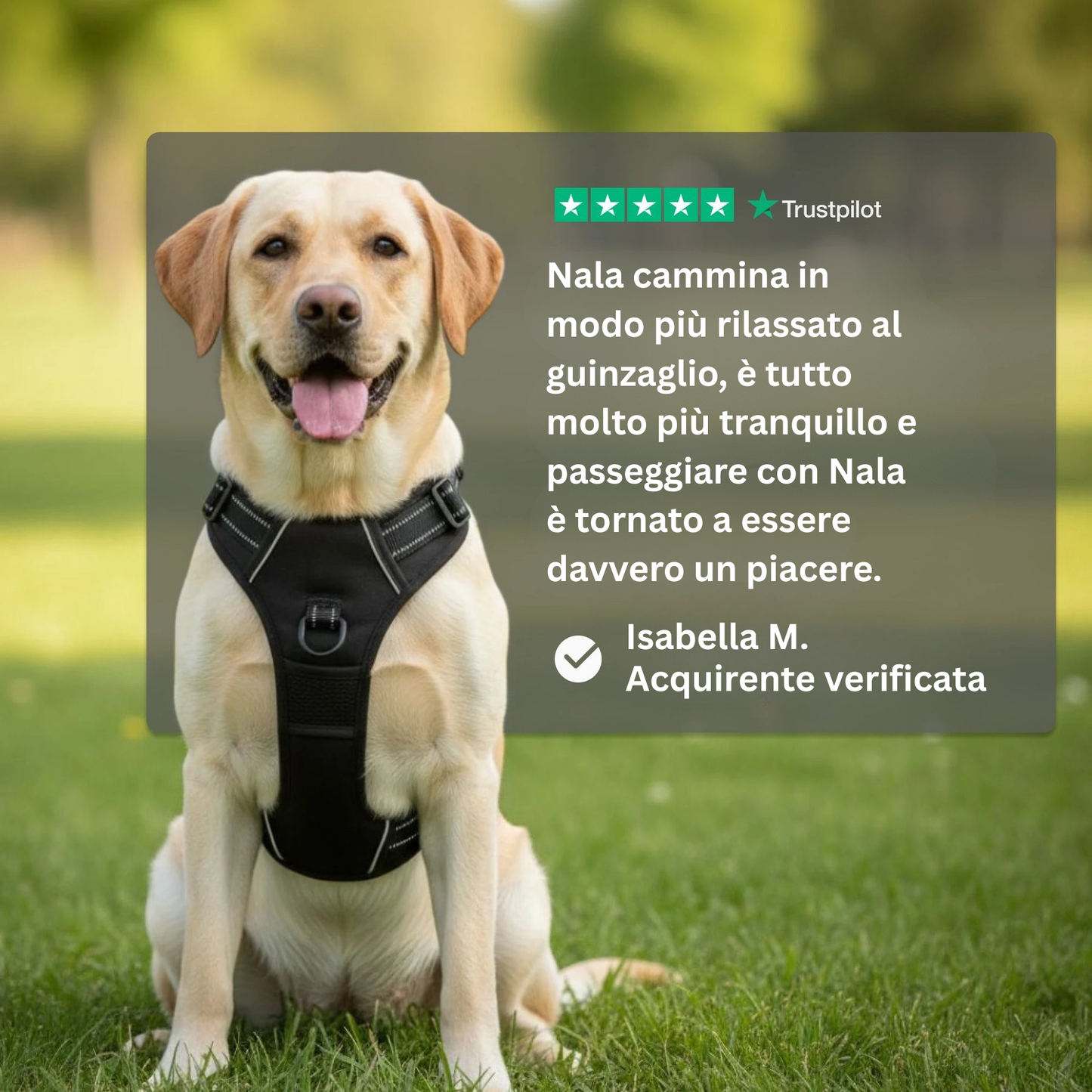 Cosyrae™ Pettorina anti-tiro