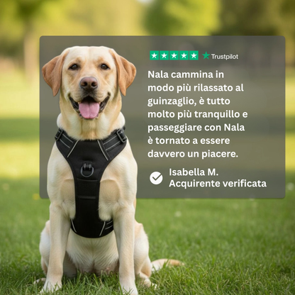 Cosyrae™ Pettorina anti-tiro