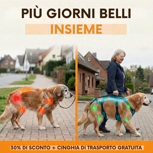 Pettorina Cosyrae per l’artrosi