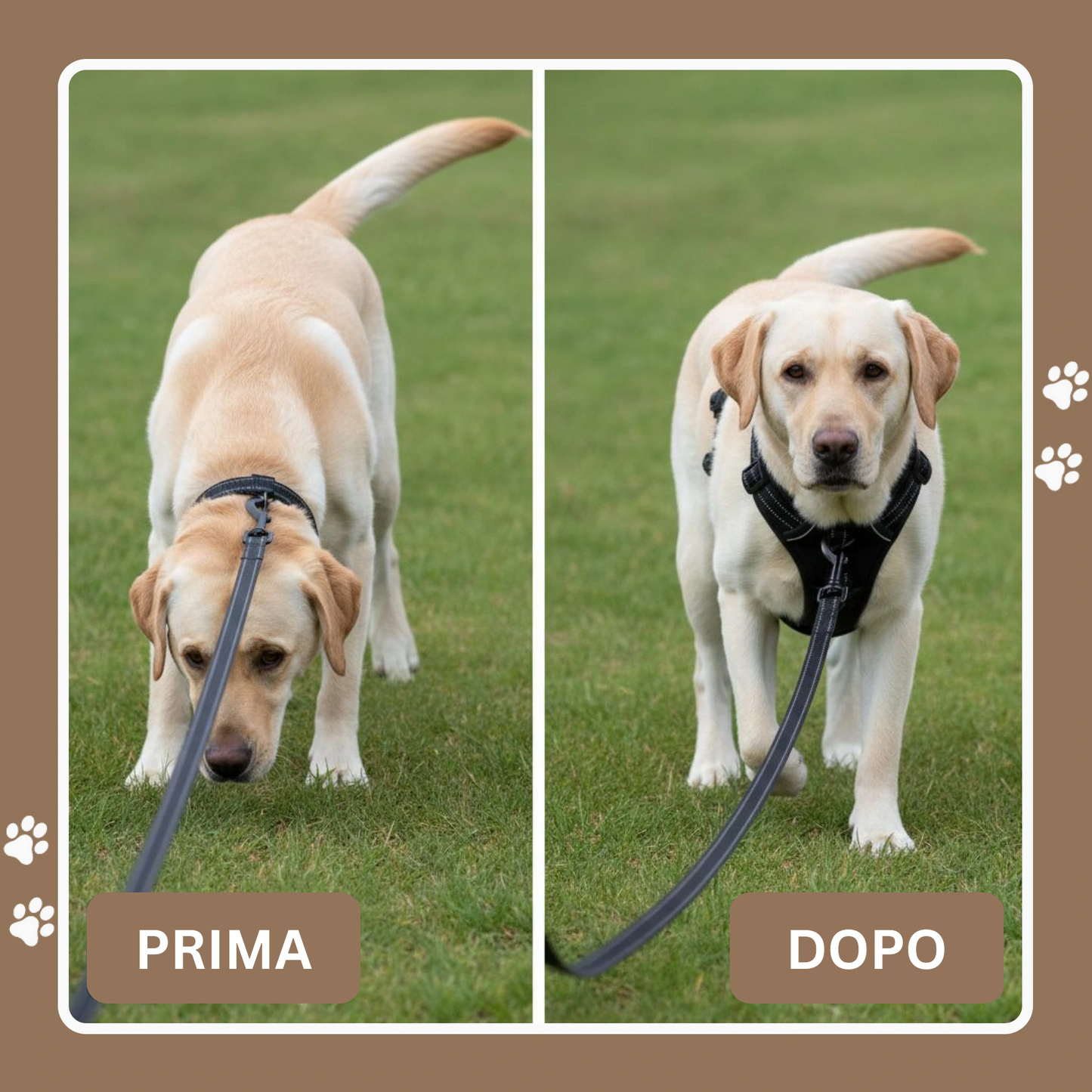 Cosyrae™ Pettorina anti-tiro