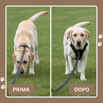 Cosyrae™ Pettorina anti-tiro