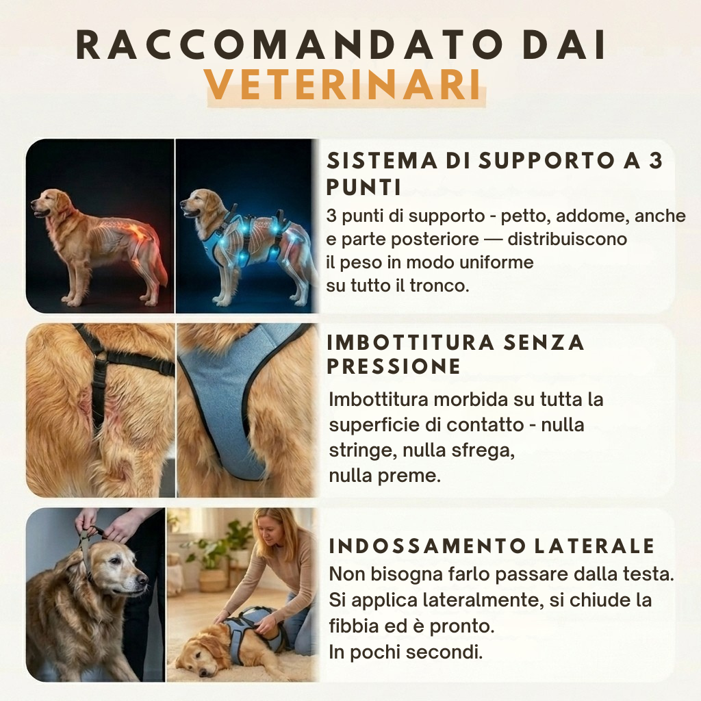 Pettorina Cosyrae per l’artrosi