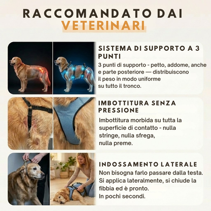 Pettorina Cosyrae per l’artrosi