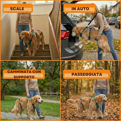 Pettorina Cosyrae per l’artrosi