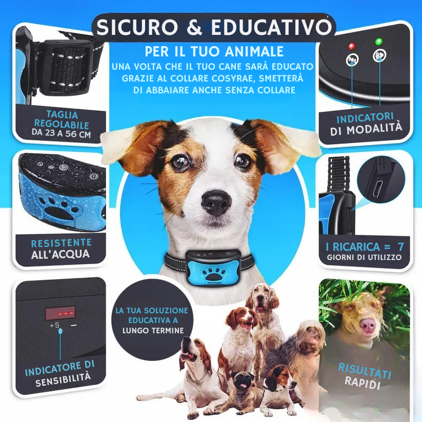 Collare anti-abbaio