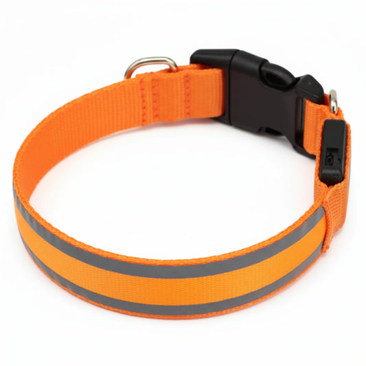Cosyra™ Collare luminoso