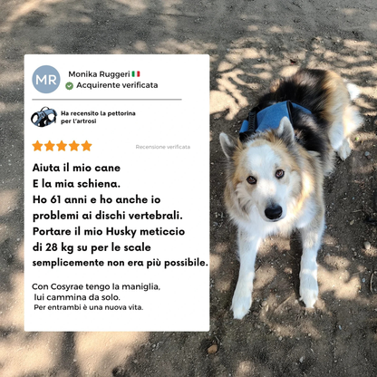 Pettorina Cosyrae per l’artrosi